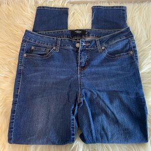 Torrid Skinny Jean